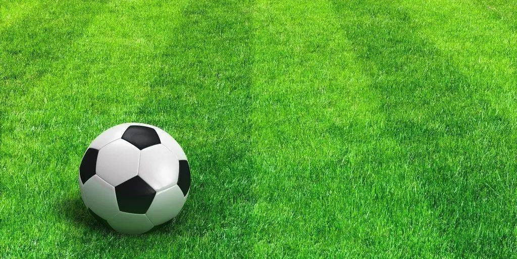 雷速体育4.0版本主界面展示